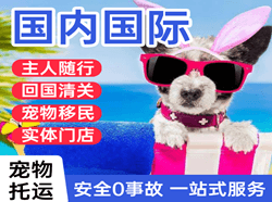 银川河东航空运输国际宠物托运 【国